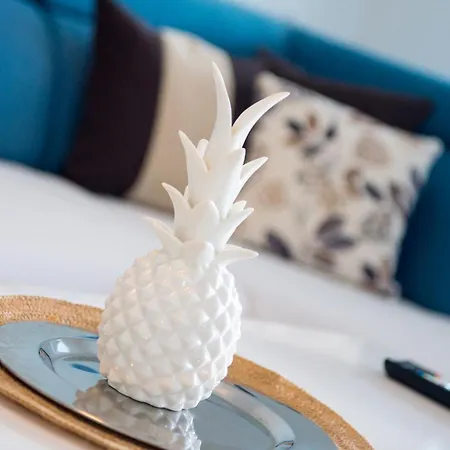 Sun Haven Oasis *